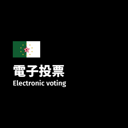 電子投票